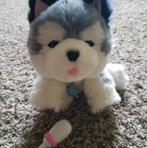 little live pets husky dog